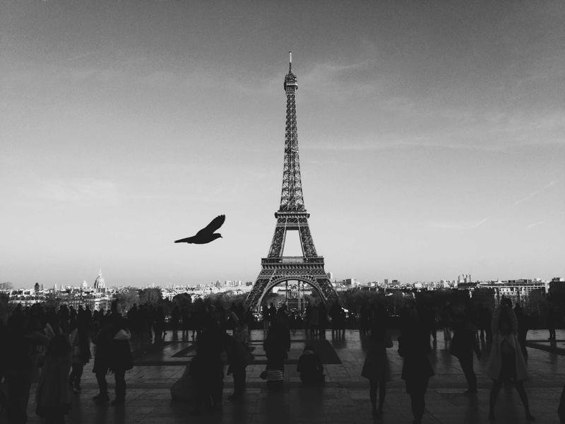 Morpho